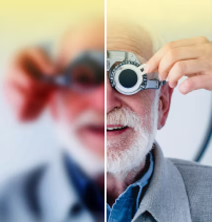 QU'EST-CE QUE LA BASSE VISION ?